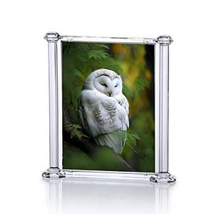Vertical Column Frame