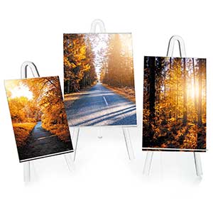 Easel Frame
