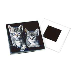 Magnetic Frame