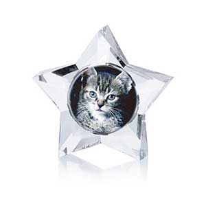 Super Star Frame