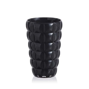 Epic Water Glass/Black & Clear