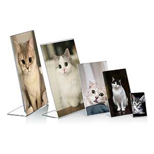 Vertical L Frame