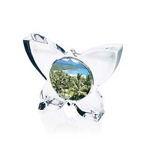 Butterfly Frame
